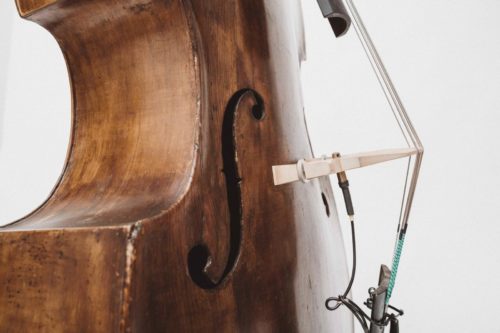 Janosch-Korell-Komponist und Bassist - Kontrabass