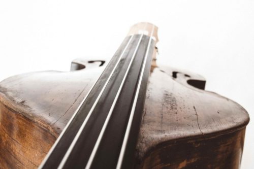 Janosch-Korell-Bassist und Komponist - Kontrabass