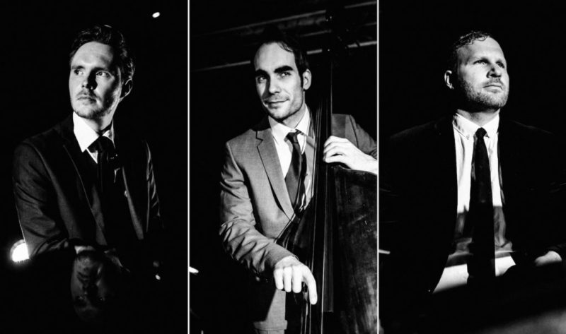 Triorit - Janosch Korell - Bassist und Komponist